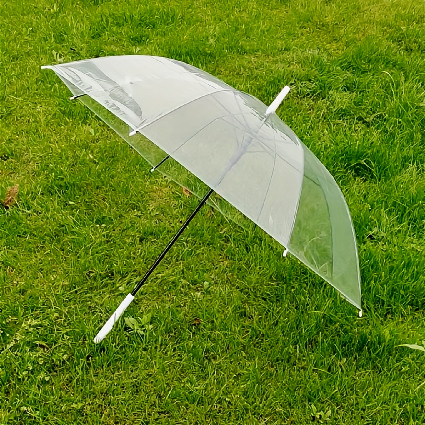 Premium Transparent Dome Umbrella With Curved Handle (1 Pc)